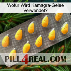 Wofür Wird Kamagra-Gelee Verwendetl cialis1